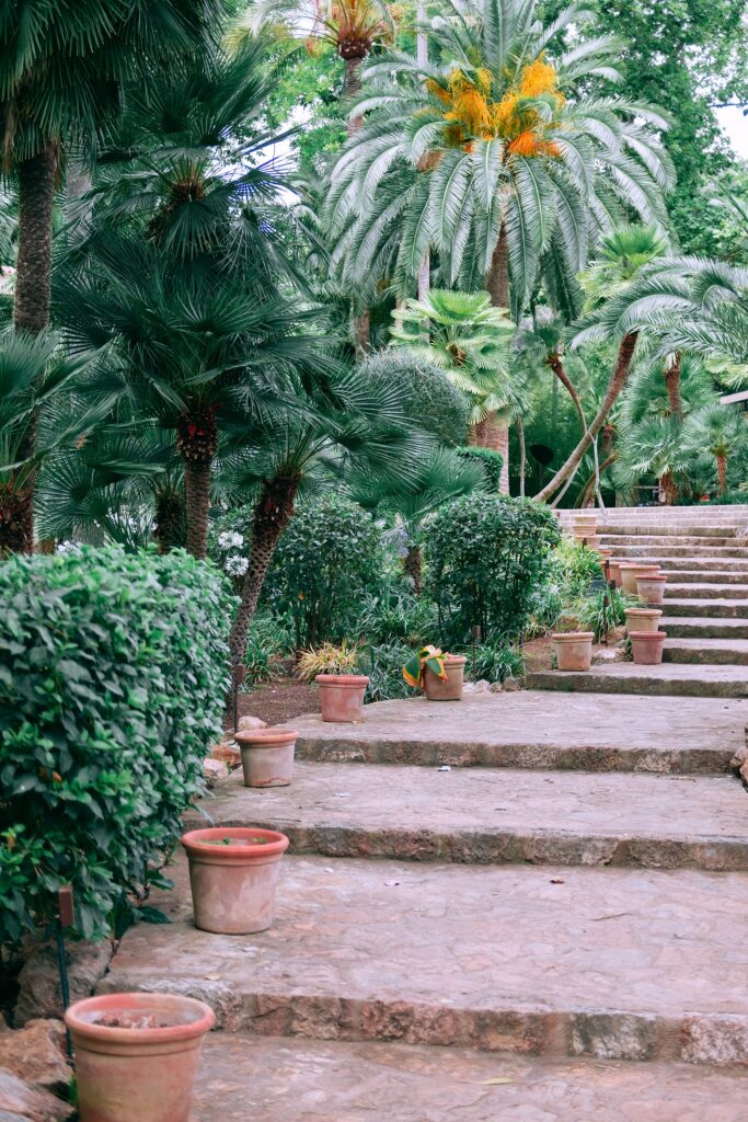 jardines tropicales y