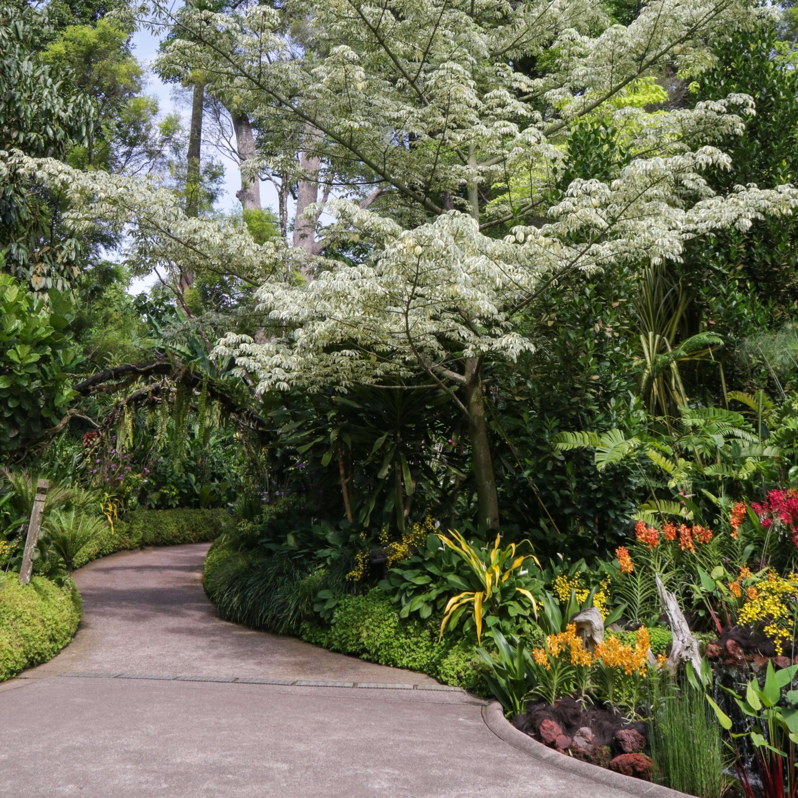 caminos de jardin q edited scaled