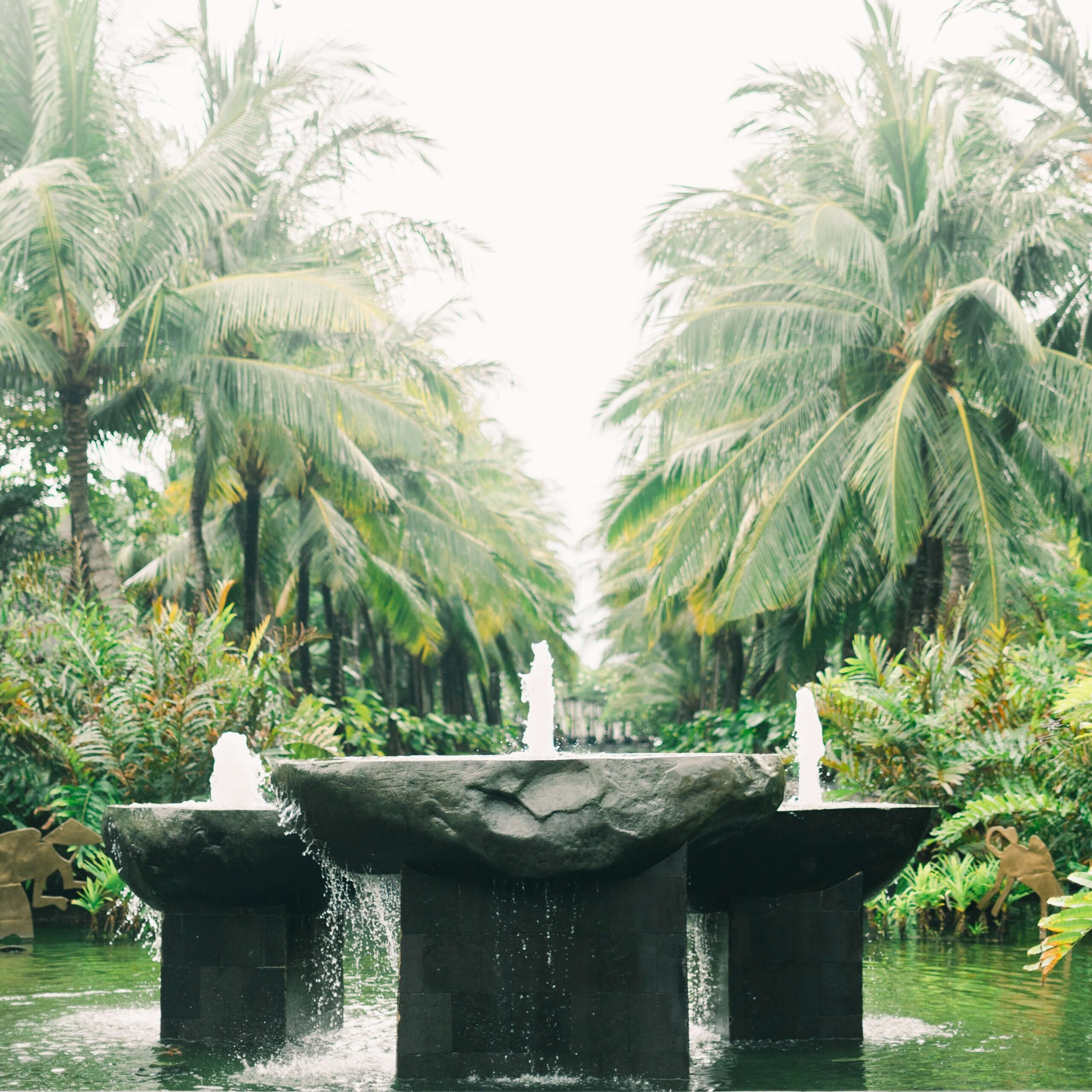 fuentes de agua x edited scaled